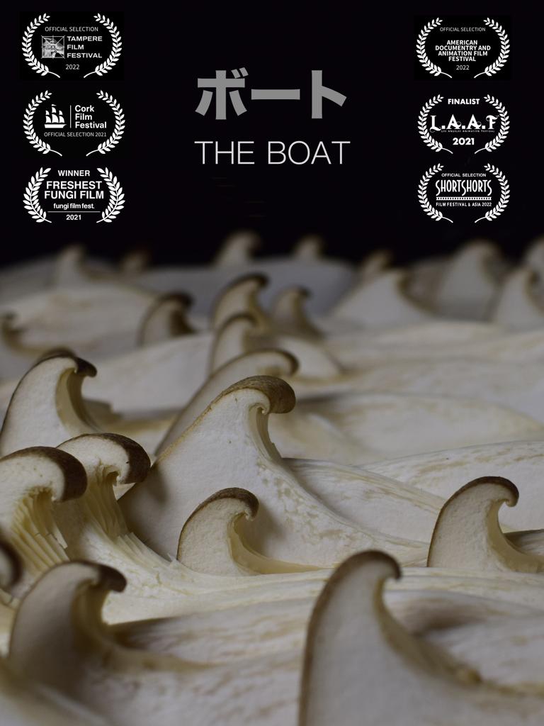 The Boat